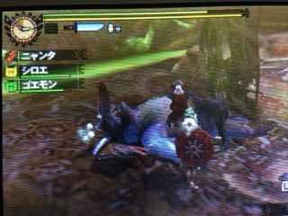 村クエスト G級 アルセルタス亜種 ケチャワチャ亜種 Mh4 狩猟日記