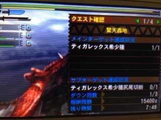 驚天轟地 ティガレックス希少種 ソロ攻略 やはり ヴァッサーヴェルデン Mh4 狩猟日記